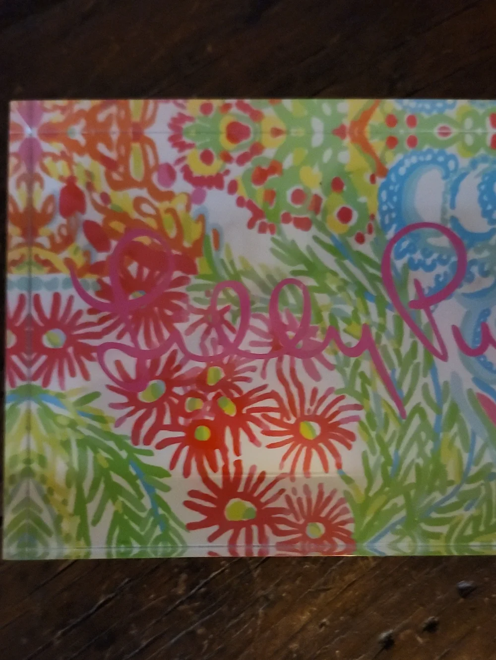 Vtg Lilly Pulitzer Colorful Acrylic Store Display Plaque